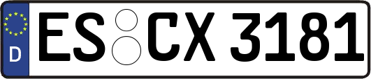 ES-CX3181