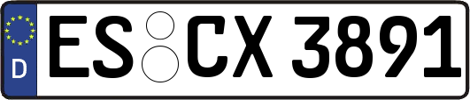 ES-CX3891