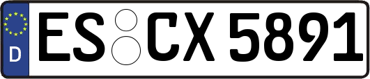 ES-CX5891