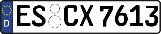 ES-CX7613