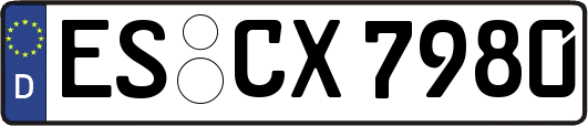 ES-CX7980