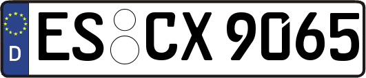 ES-CX9065