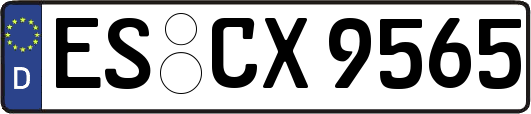ES-CX9565