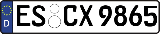 ES-CX9865
