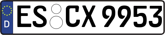 ES-CX9953