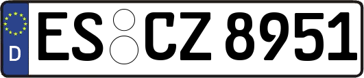 ES-CZ8951