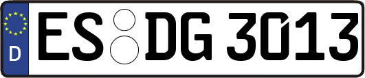 ES-DG3013