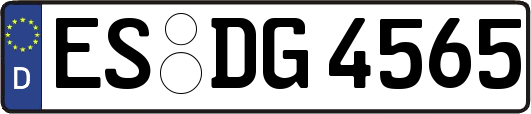 ES-DG4565