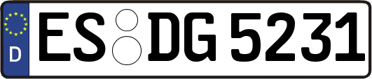 ES-DG5231
