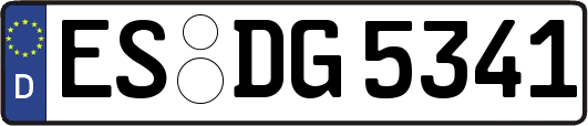 ES-DG5341