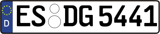 ES-DG5441