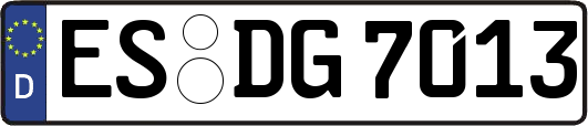 ES-DG7013