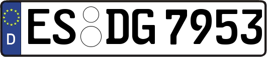 ES-DG7953