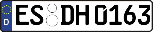 ES-DH0163