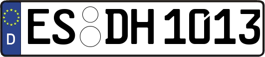 ES-DH1013