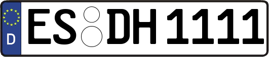ES-DH1111