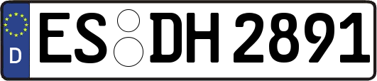 ES-DH2891