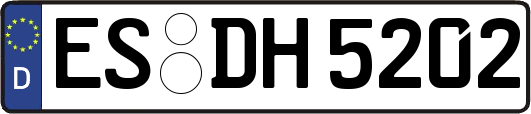 ES-DH5202