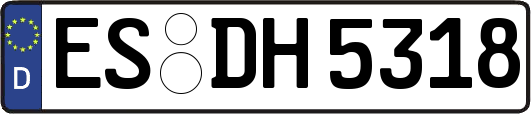 ES-DH5318