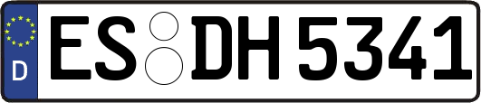 ES-DH5341