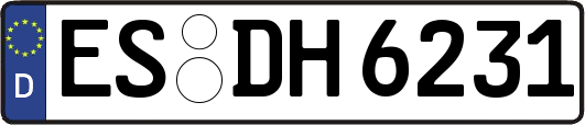 ES-DH6231