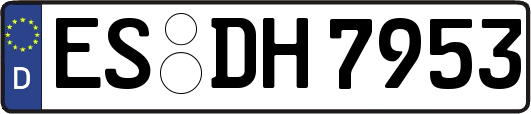 ES-DH7953