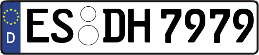 ES-DH7979
