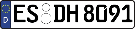 ES-DH8091