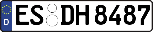 ES-DH8487