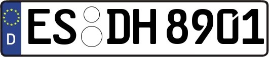 ES-DH8901
