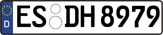 ES-DH8979