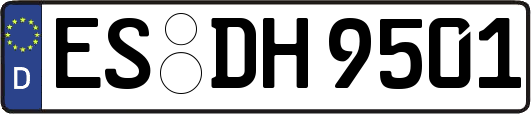 ES-DH9501
