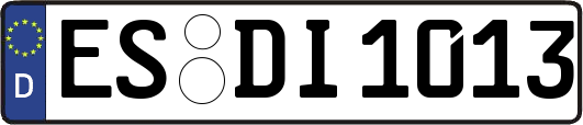 ES-DI1013