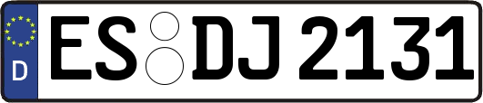 ES-DJ2131