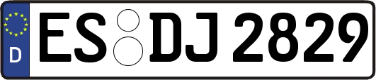 ES-DJ2829