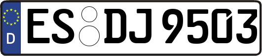 ES-DJ9503