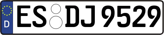 ES-DJ9529