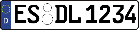ES-DL1234