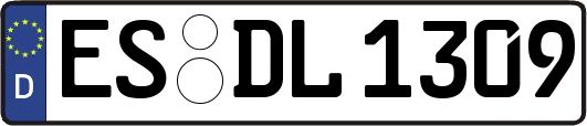 ES-DL1309