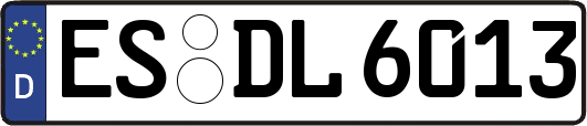 ES-DL6013