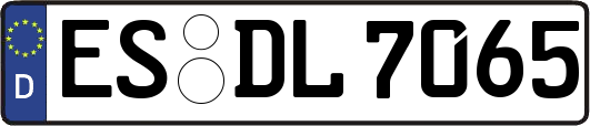 ES-DL7065