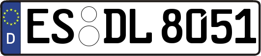 ES-DL8051