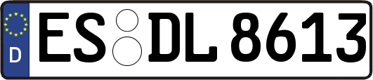 ES-DL8613