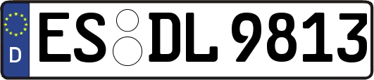 ES-DL9813