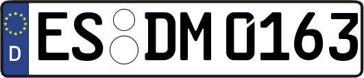 ES-DM0163