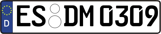 ES-DM0309