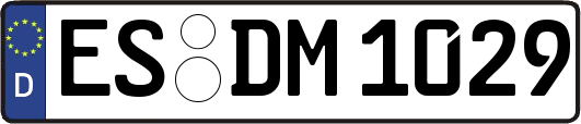 ES-DM1029