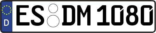 ES-DM1080