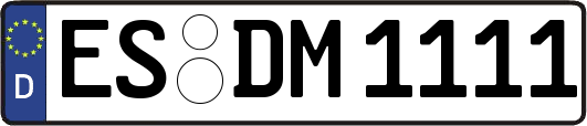 ES-DM1111
