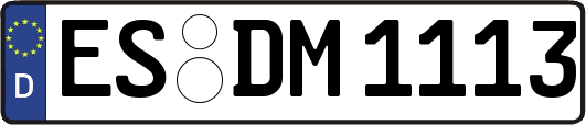 ES-DM1113
